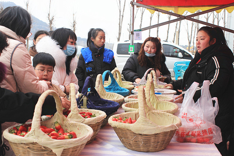 ��ݮ�h��c�´� | ���f�(zh��n)��ɽ�ڲ�ݮ��ժ��Ȥ���������w�e����ζ